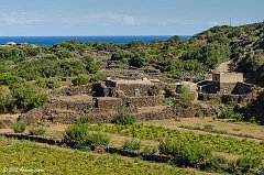 Pantelleria_0435