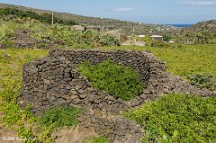 Pantelleria_0440