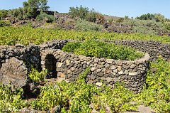 Pantelleria_0445