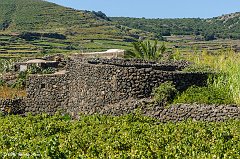 Pantelleria_0447