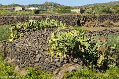 Pantelleria_0448