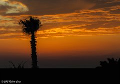 Pantelleria_1093