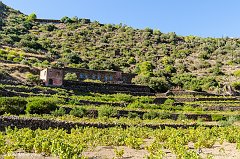 Pantelleria_0420