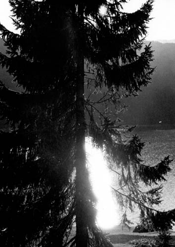anni70_30