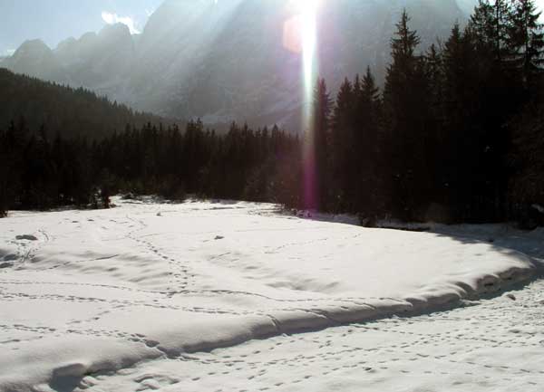 ValSaisera24