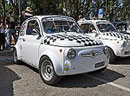 Raduno Fiat 500