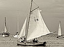 Barcolana classic