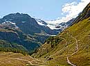 Eco-Sentiero Alp Grüm 