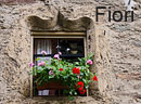 Fiori